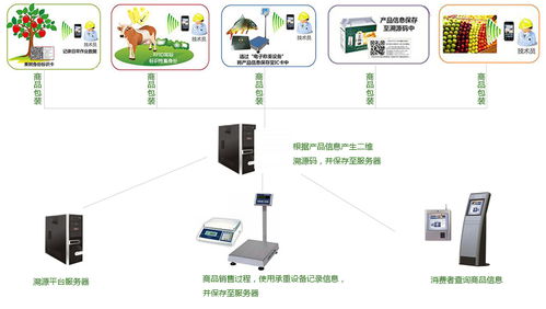 有機農(nóng)產(chǎn)品安全質(zhì)量溯源系統(tǒng) 信息系統(tǒng)集成服務(wù)的核心價值與實踐路徑